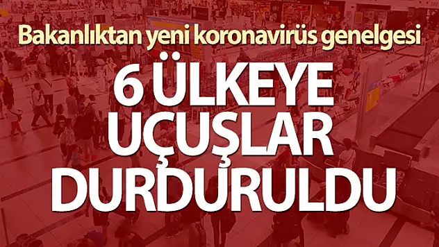Bakanlıktan 'Ülkeye Giriş Tedbirleri' konulu genelge!