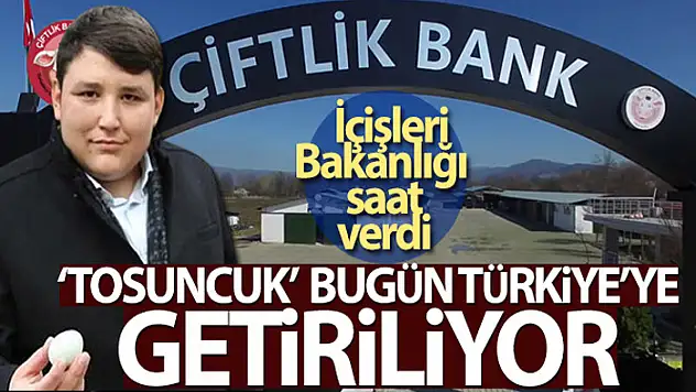 'Tosuncuk' lakaplı Mehmet Aydın Türkiye'ye getiriliyor