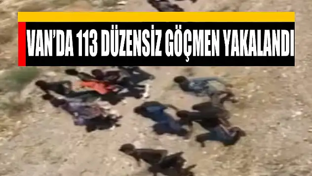 Van'da 113 düzensiz göçmen yakalandı