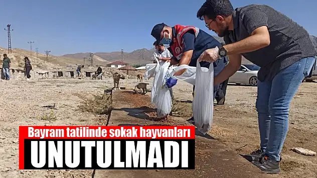 Bayram tatilinde sokak hayvanları unutulmadı