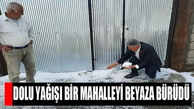 Van'da dolu yağışı bir mahalleyi beyaza bürüdü