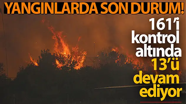Yangınlarda son durum: 161'i kontrol altında, 13 yangın devam ediyor