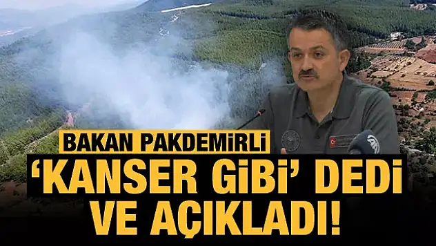 Bakan Pakdemirli 'kanser gibi' dedi ve açıkladı!