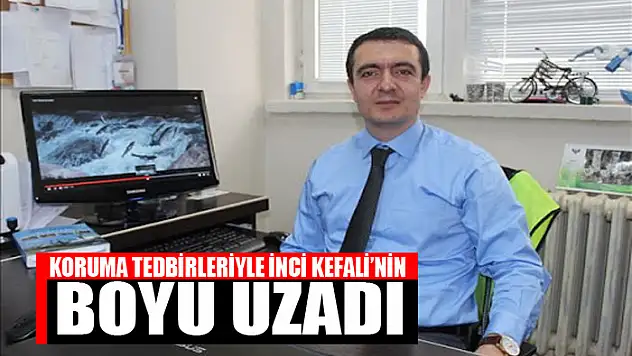 KORUMA TEDBİRLERİYLE İNCİ KEFALİ'NİN BOYU UZADI