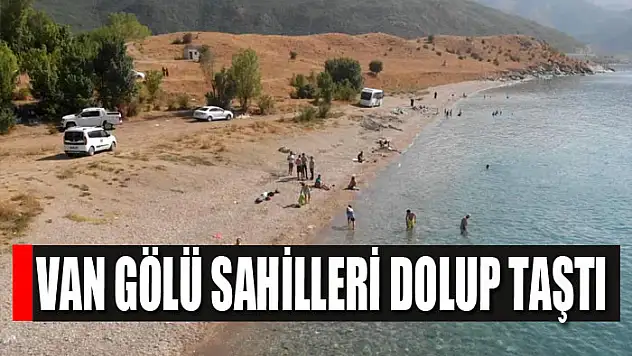 Van Gölü sahilleri dolup taştı