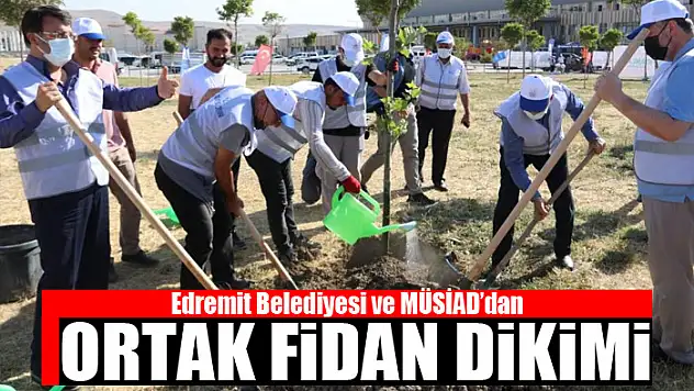 Edremit Belediyesi ve MÜSİAD'dan ortak fidan dikimi