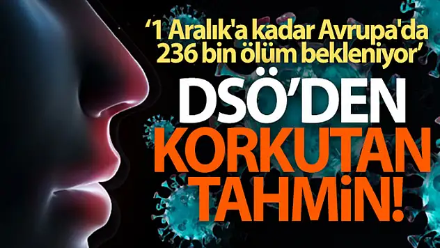 DSÖ Avrupa: 'Tahminlere göre 1 Aralık'a kadar Avrupa'da 236 bin ölüm bekleniyor'