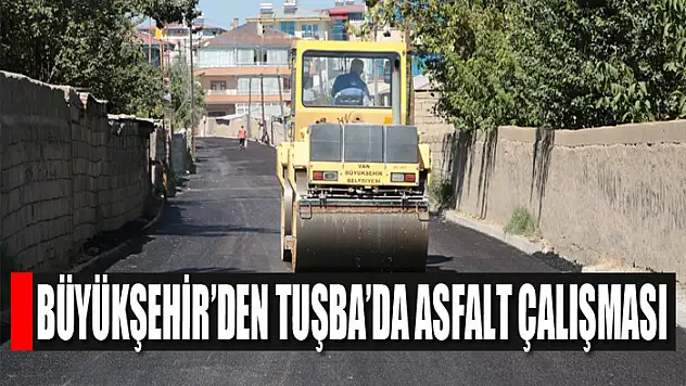 BÜYÜKŞEHİR'DEN TUŞBA'DA ASFALT ÇALIŞMASI