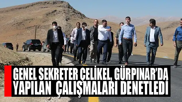 Genel Sekreter Çelikel, Gürpınar'da yapılan çalışmaları denetledi