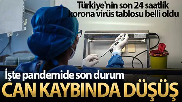 Son 24 saatte korona virüsten 257 kişi hayatını kaybetti