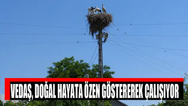 VEDAŞ, doğal hayata özen göstererek çalışıyor