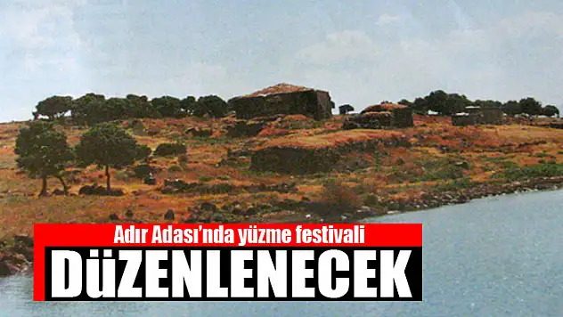 Adır Adası'nda yüzme festivali düzenlenecek