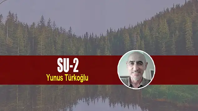 Su-2