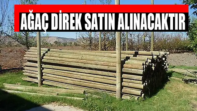 Ağaç direk satın alınacaktır