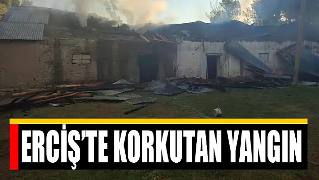Erciş'te korkutan yangın