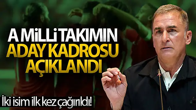 A Milli Takım aday kadrosu belli oldu