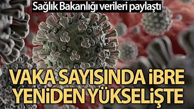 Son 24 saatte korona virüsten 214 kişi hayatını kaybetti