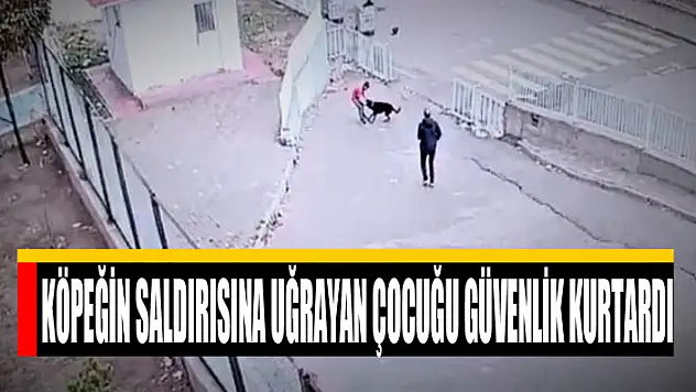 Köpeğin saldırısına uğrayan çocuğu güvenlik kurtardı