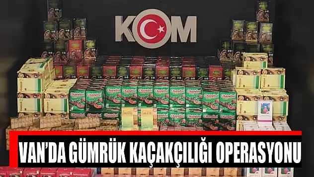 Van'da gümrük kaçakçılığı operasyonu