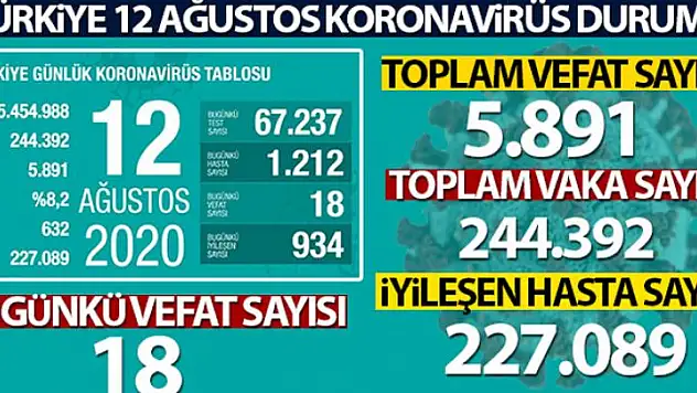 Türkiye'de son 24 saatte 1.212 kişiye Covid-19 tanısı konuldu, 18 kişi hayatını kaybetti