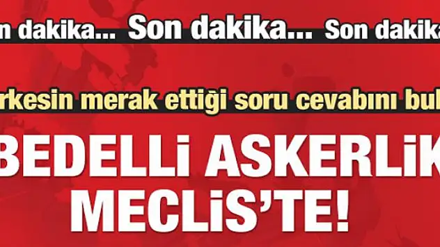 Bedelli askerlikle ilgili soru cevabını buldu