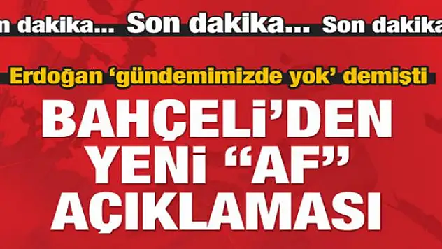 Devlet Bahçeli'den yeni af açıklaması!