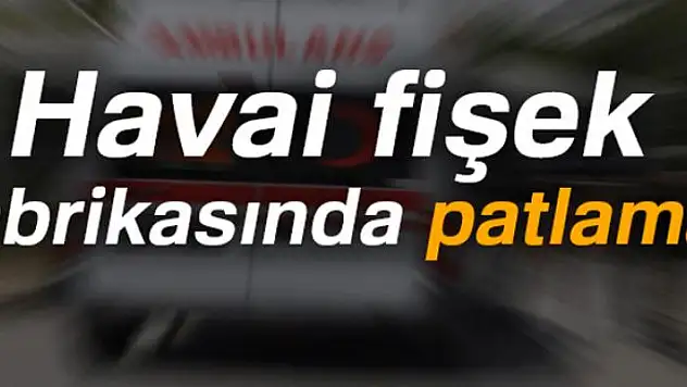 Havai fişek fabrikasında patlama: 2 ölü