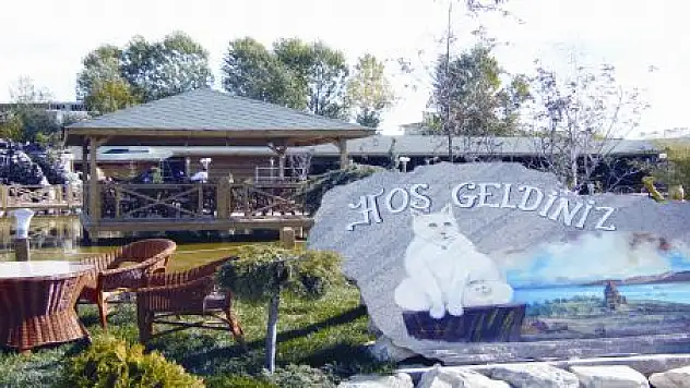 ÇAMLIK RESTAURANT AÇILIYOR