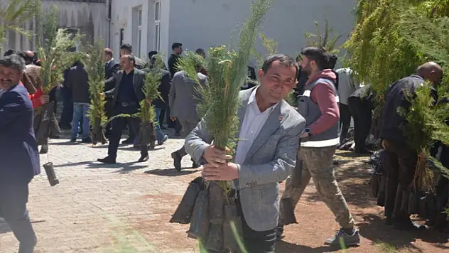 5 bin çam fidanı dağıtıldı