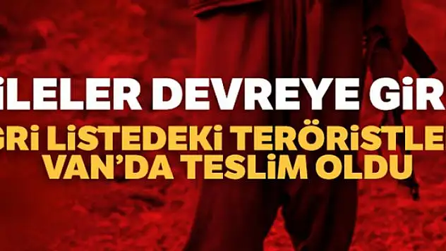 Aileler devreye girdi, Gri listedeki teröristler Van'da teslim oldu