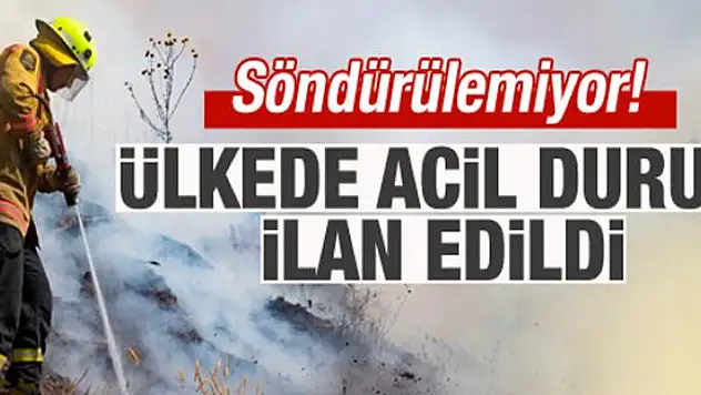 Yeni Zelanda'da orman yangınları söndürülemiyor