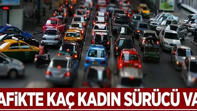En çok sürücü İstanbul'da, en az sürücü Ardahan'da