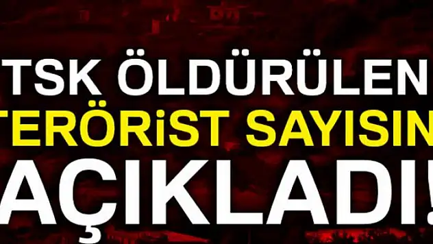TSK öldürülen terörist sayısını açıkladı