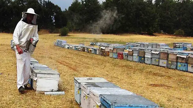 7 bin 75 üreticiye 67,5 milyon TL destekleme ödemesi