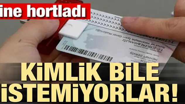 Yine hortladı! Kimlik bile istemiyorlar!
