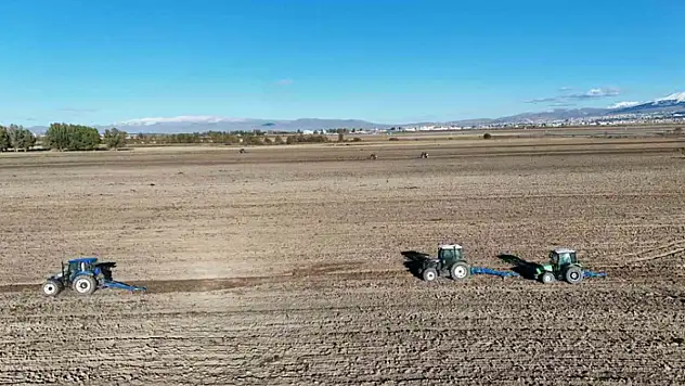 800 dönümlük araziye güzlük buğday ekildi