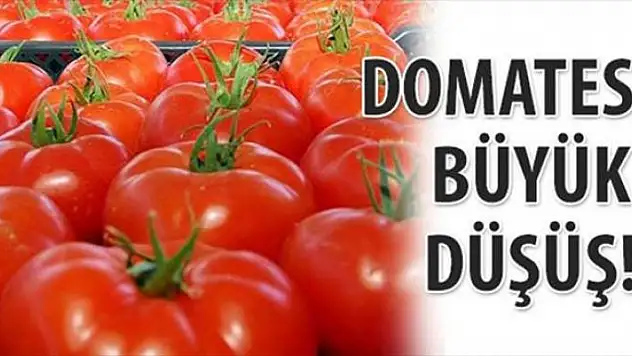 Domates fiyatlarında düşüş