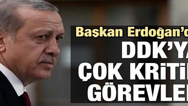Devlet Denetleme Kurulu'na çok kritik görevler