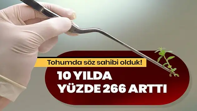 Tohumda söz sahibi olduk! 10 yılda yüzde 266 arttı