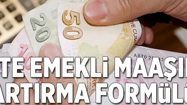 Emekliye yüksek maaş  