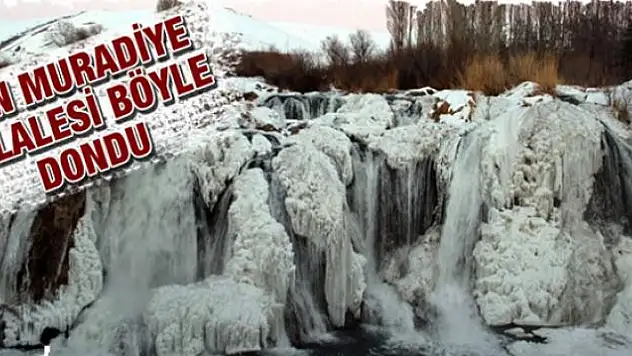 Muradiye Şelalesi tamamen dondu