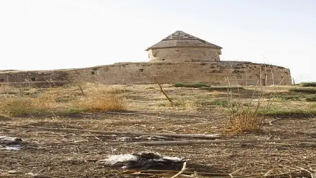 KUŞ ÖLÜMLERİ ÇARPANAK ADASINA SIÇRADI
