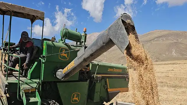 Adilcevaz Uzunsırt Yaylası'nda buğday hasadı yapıldı