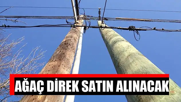 Ağaç direk satın alınacak