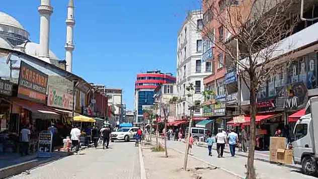 Ağaçlar bakımsızlıktan kuruyor