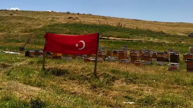 Ağrı ay yıldızlı bayraklarla donatıldı