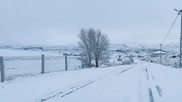 Ağrı beyaza büründü