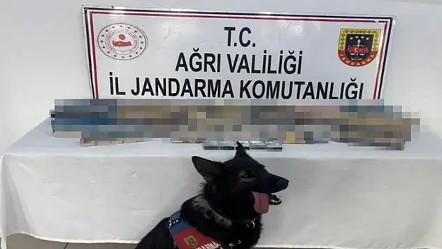 Ağrı'da bin 227 paket gümrük kaçağı sigara ele geçirildi