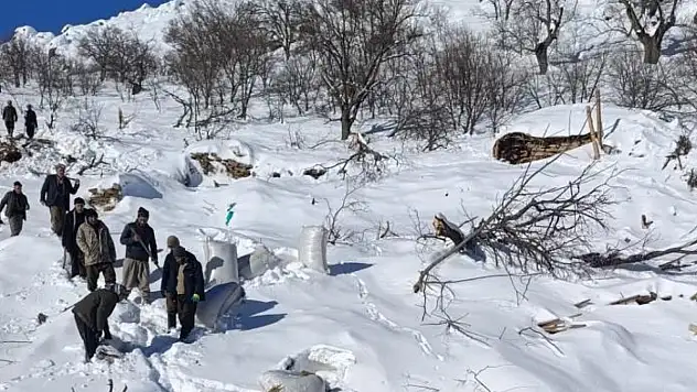 Ahırların üzerine çığ düştü