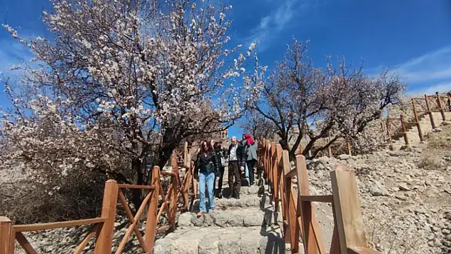 Akdamar Adası'nda bayram tatili yoğunluğu